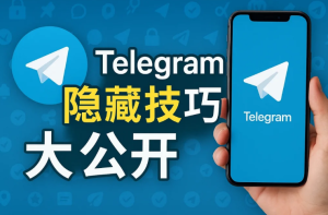 Telegram 深度隐私保护指南：从基础设置到高级防护